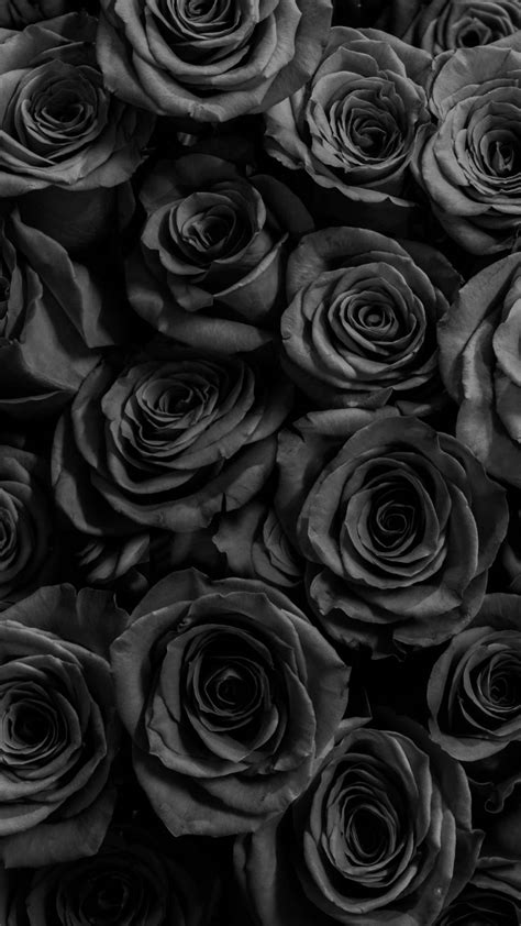 Download Black Roses Cute Dark Girly Wallpaper