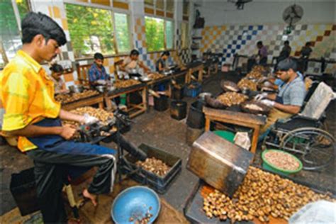 The ministry of agriculture of the republic of azerbaijan appeals to its international partners to condemn the military aggression of armenia. Helpers of Handicapped | Training for self-reliance - Livemint