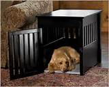 Orvis Pet Crate Pictures