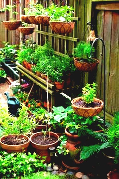 Perfect Container Gardening Ideas For Small Spaces Small Patio