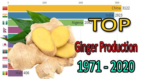 Top Largest Ginger Producer Counties In Metric Tons Data Factory