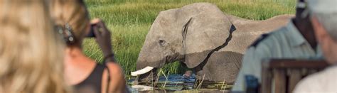 Botswana Safari Tours And Holidays Bench Africa