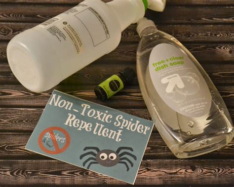Create a natural disinfectant spray for your home by mixing the essential oil with white vinegar in a spray bottle. Homemade Non-Toxic Spider Repellent #DIY | Building Our Story