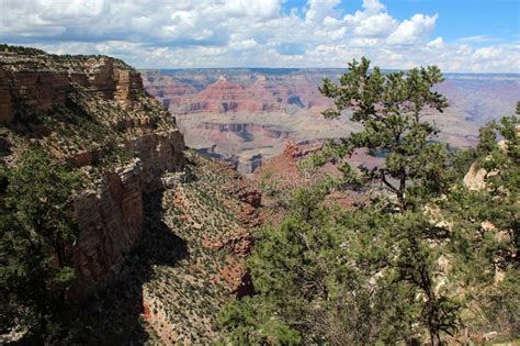 Grand Canyon Vista Arizona Stock Image Image Of Cliff America