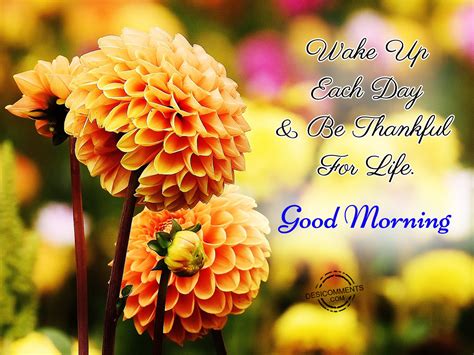 Wake Up Each Day And Be Thankful For Life Good Morning