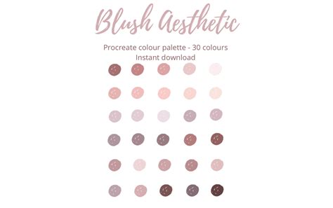 Procreate Blush Aesthetic Colour Palette Swatch By Mini Trezò Design