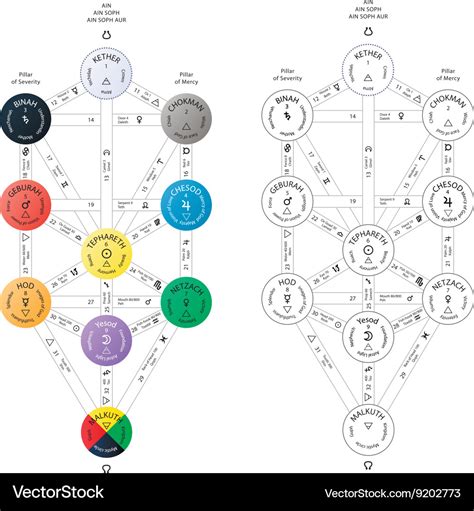 Detailed Sephirot Tree Of Life Kabbalah Scheme On Vector Image