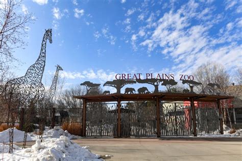 Great Plains Zoo Ceo Outlines Plans For Future Lion Exhibit