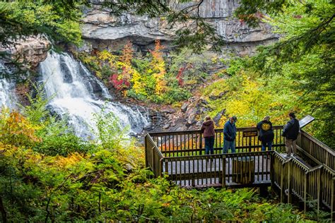 Blackwater Falls State Park 5 Best Things To Do Here
