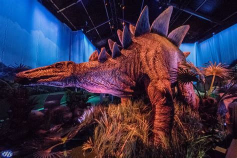 Inside Jurassic World The Roaring New Field Museum Exhibit Downtown Chicago Dnainfo