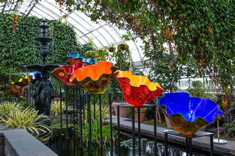 Dale Chihulys Glass Sculptures Takeover The New York Botanical Garden