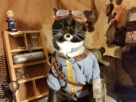 Kotaku On Twitter Its A Cat Dressed In A Vault 111 Outfit From