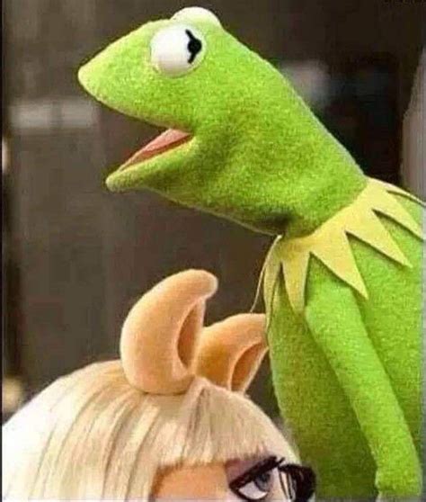 Sapo Kermit Dankest Memes Funny Memes Miss Piggy Kermit The Frog