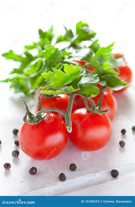 Fresh Vine Tomatoes Stock Image Image Of Ripe Freshness 19185575