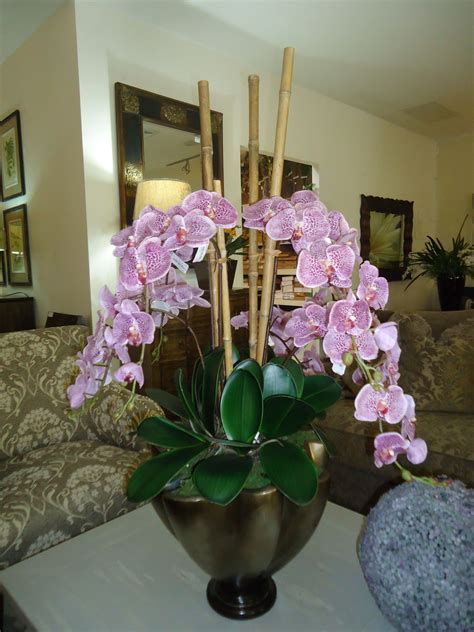 Orquideas Orchid Flower Arrangements Indoor Orchids Love You Images Flower Lover Art Decor