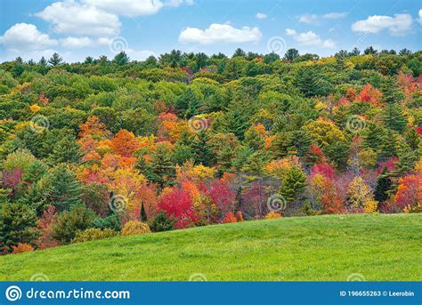 Beautiful Autumn Landscape Foliage Trees In New England Stock Image