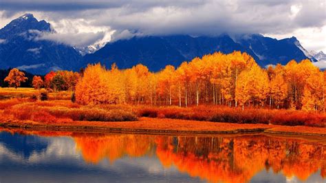 Autumn Forest River Hd Desktop Wallpaper Preview