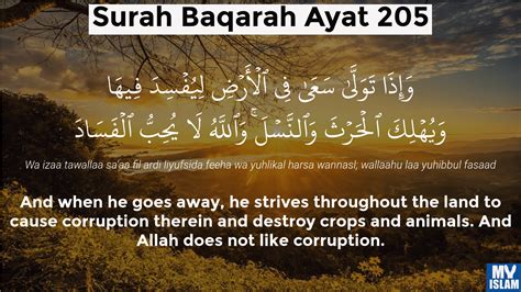 Surah Al Baqarah Ayat 201 2201 Quran With Tafsir My Islam