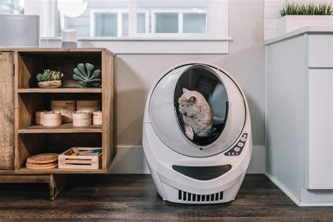 Meet The Petcare Of The Future The Litter Robot 3 Connect By Whisker