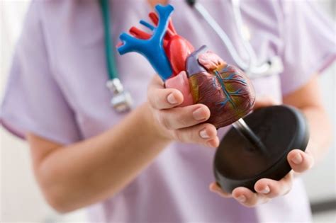 Las 7 Urgencias Cardiovasculares Más Comunes
