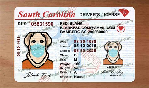 South Carolina Drivers License Template New V1 Blank Psd
