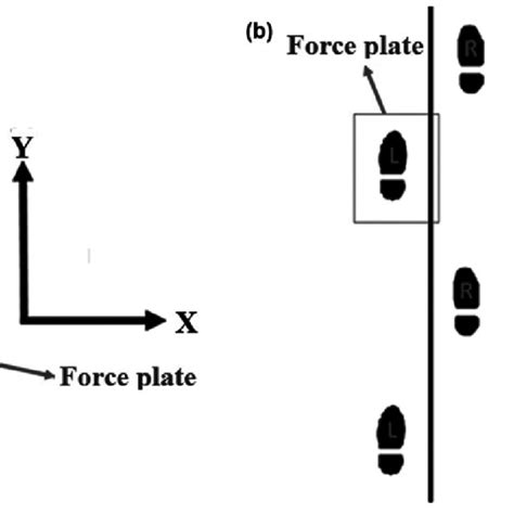 A Foot Schematics In Sagittal Plane Showing Ground Reaction Forces