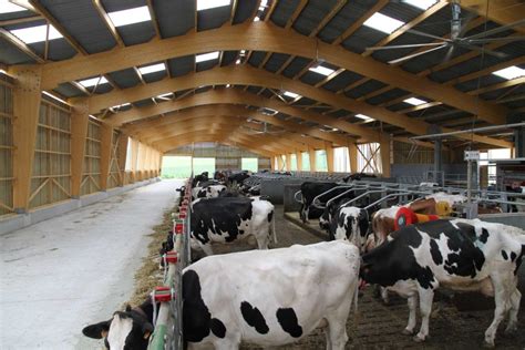 Stabulation 130 Vaches Laitières En Alsace 67 Agribat Concept