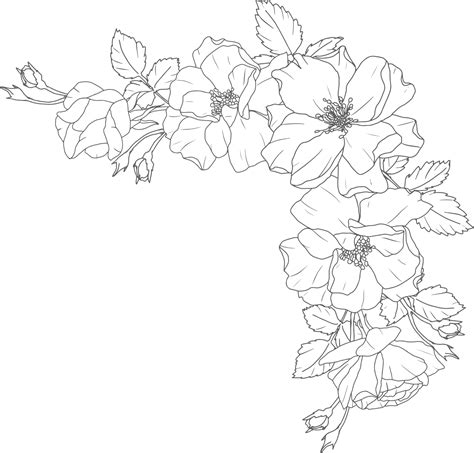 Doodle Line Art Rose Flower Bouquet Elements 9594146 PNG