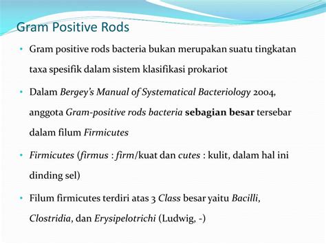 Ppt Gram Positives Rodsbacilli Powerpoint Presentation Free Download Id6895994