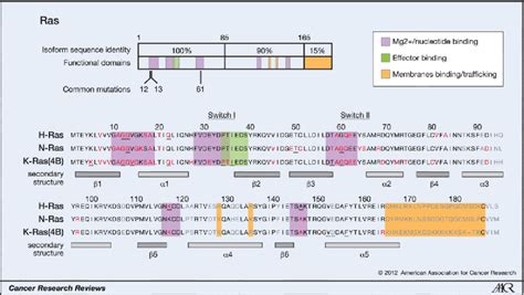 Figure 1 From A Comprehensive Survey Of Ras Mutations In Cancer
