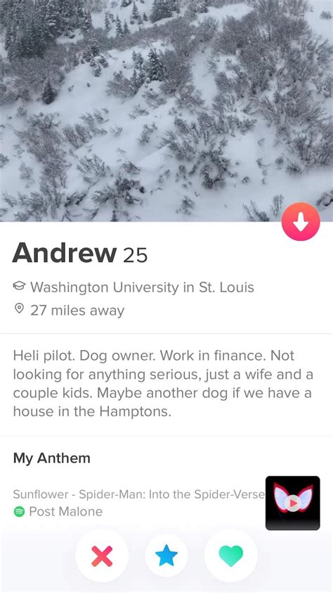 Tinder Profile Examples For Men And Tips For Getting More Matches