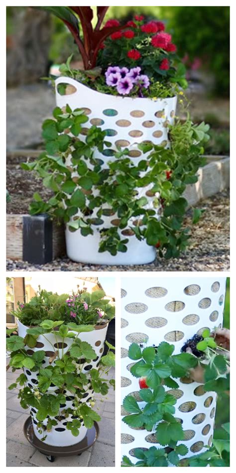 Vertical Laundry Basket Strawberry Planter DIY Tutorial Video DIY