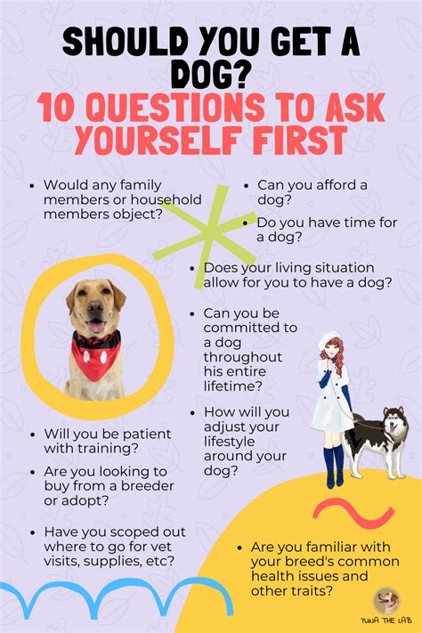 List Of Questions Essential Questions Puppies Tips Vet Visits Dog