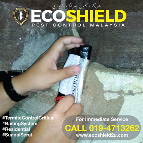 Tak kan nak biar ja perosak rumah ni terus musnahkan.ada yang cari nak buat service sanitasi? TERMITE CONTROL : HULU LANGAT|Eco Shield Pest Control Malaysia
