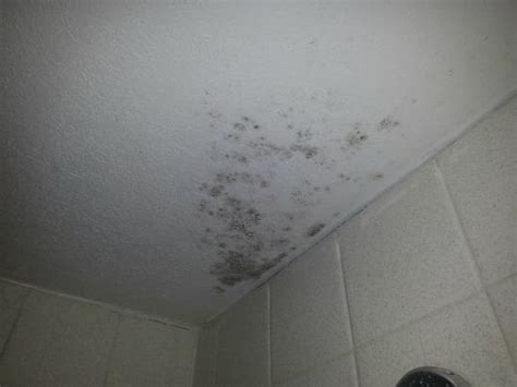 Our bathroom has some black mold on the ceiling and it was very tough to get rid of, but after some trial and error, i think we figured it out. Black mold on bathroom ceiling. - Picture of Econo Lodge ...