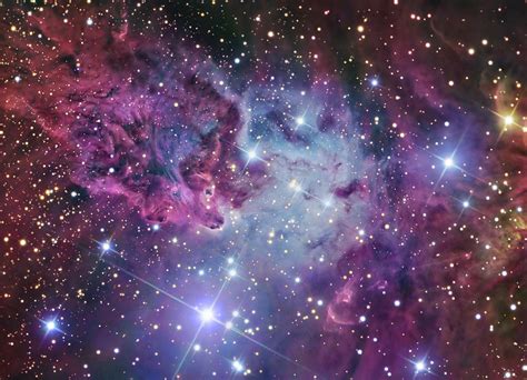 The Fox Fur Nebula By Stocktrek Images