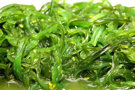Types Of Edible Seaweeds
