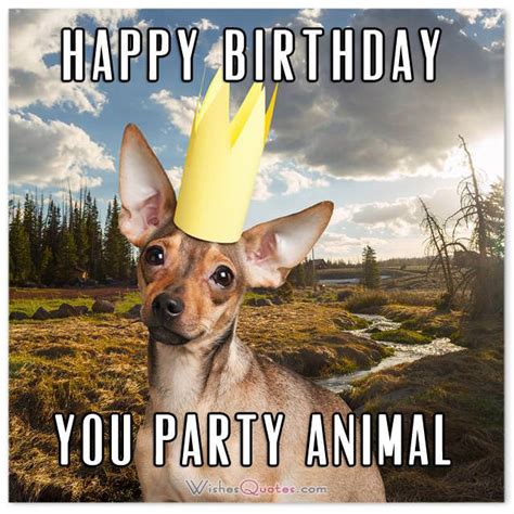 The Funniest And Most Hilarious Birthday Messages And Cards