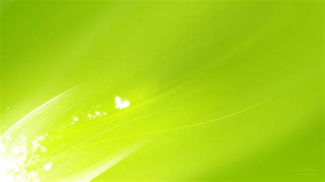 45 Hd Green Wallpapersbackgrounds For Free Download