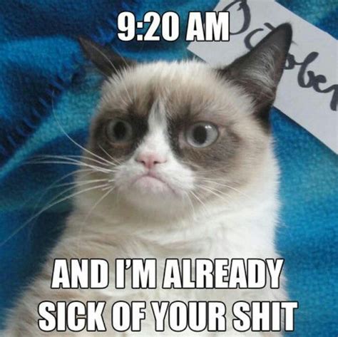 Its Only 920am Grumpy Cat Grumpy Cat Humor Cats