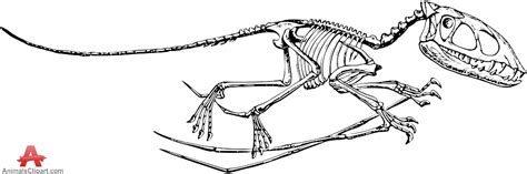 We did not find results for: Dinosaur skeleton clipart 20 free Cliparts | Download ...