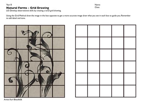 Cover Lesson Natural Forms Grid Drawing Teaching Resources