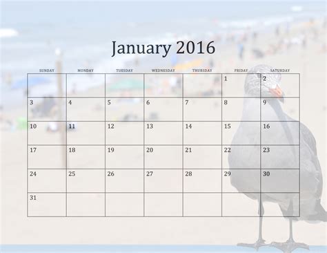 January 2016 Beach Calendar Free Stock Photo Public Domain Pictures