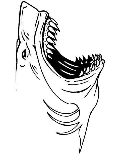 Great White Shark Jaws Coloring Pages Best Place To Color