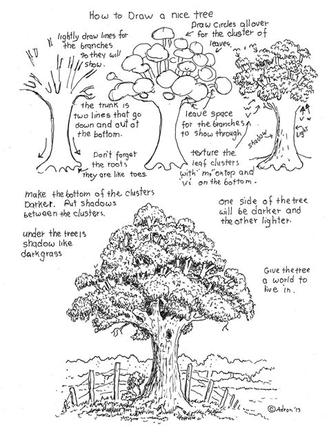 Https://tommynaija.com/draw/how To Do A Study Drawing Of A Tree