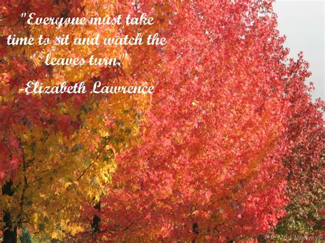 Fall Foliage Autumn Leaves Leaf Quotes Classroom Management Tips