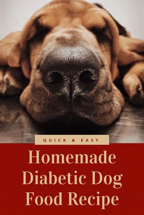 If you want to learn more about a diet for diabetes in. It is possible to prepare simple homemade diabetic dog food by figuring out the total, exact ...