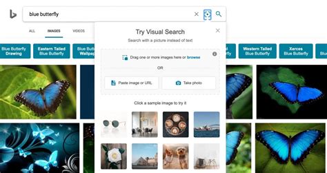 How To Reverse Image Search On Phone Android And Ios Cellularnews