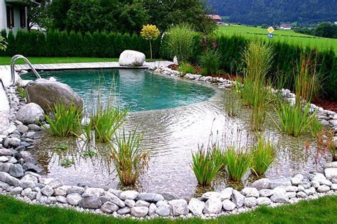 Instructions On How To Build A Natural Pool DIY Natural Swimming Pool Types Including Eco