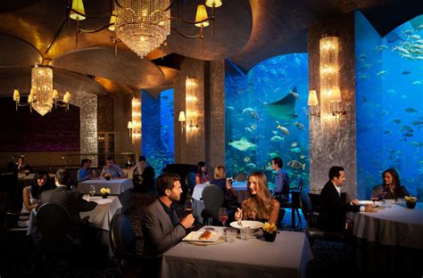 Most Expensive Restaurants In Dubai Discoverluxury